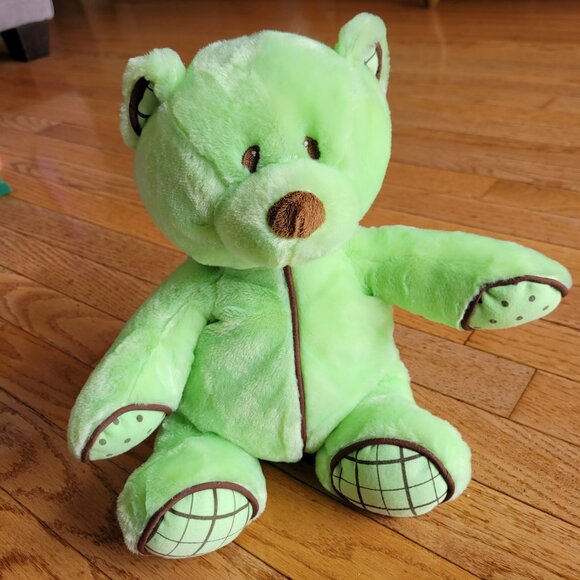 Baby Ganz Bear Plush with Rattle Chocolate Chip Mint Green Brown - Picture 1 of 9
